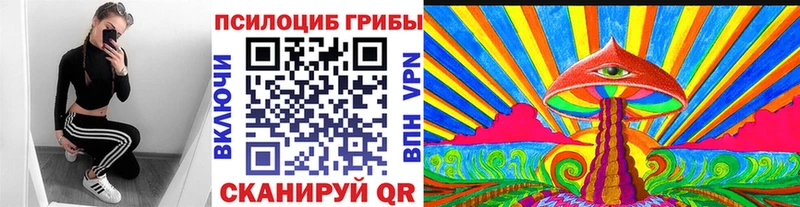 где можно купить   Горнозаводск  Галлюциногенные грибы MAGIC MUSHROOMS 